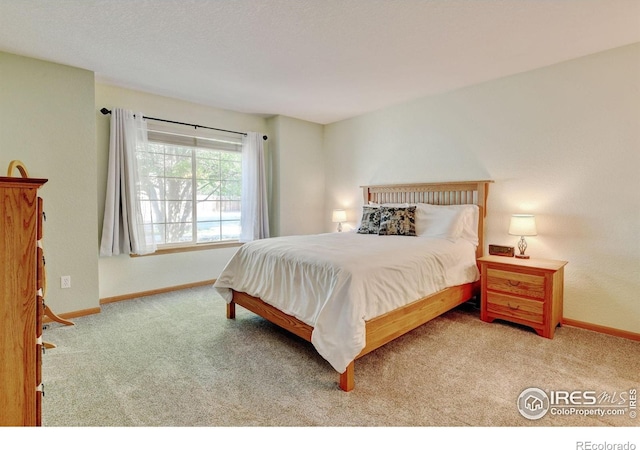 4500 Seneca St Unit 11, Fort Collins, CO 80526 - bedroom with carpet and baseboards