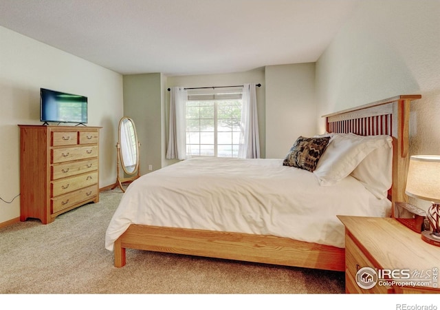 4500 Seneca St Unit 11, Fort Collins, CO 80526 - bedroom with light carpet