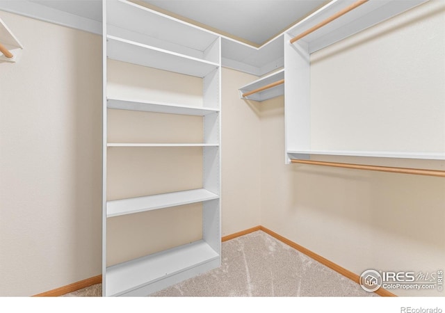3822 W 11th St Unit 35, Greeley, CO 80634 - walk in closet with carpet floors