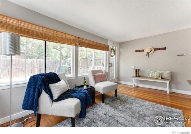 511 E Prospect Rd, Fort Collins, CO 80525 - living room featuring healthy amount of natural light and wood finished floors