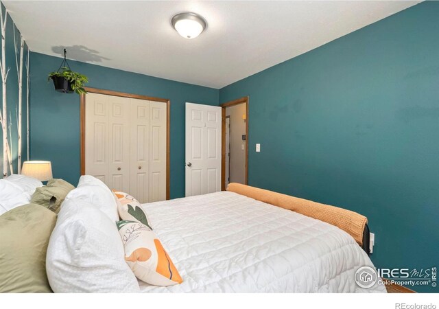 1602 35th St, Evans, CO 80620 - photo 12