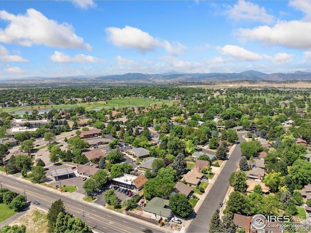 2922 Alamosa Ct, Loveland, CO 80538 - photo 32