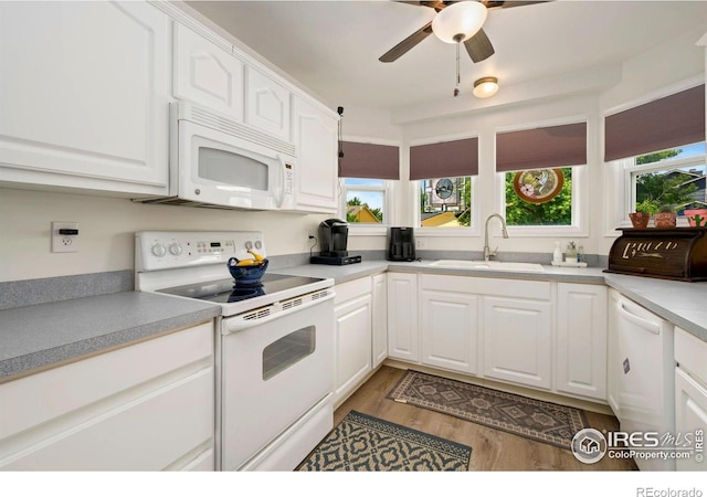 2850 SW Bridalwreath Pl, Loveland, CO 80537 - photo 3