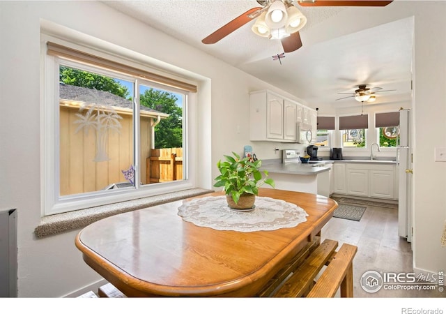 2850 SW Bridalwreath Pl, Loveland, CO 80537 - photo 5