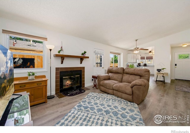2850 SW Bridalwreath Pl, Loveland, CO 80537 - photo 6