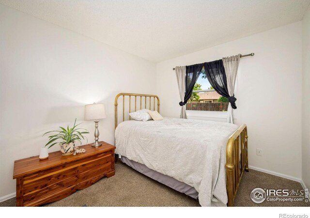 2850 SW Bridalwreath Pl, Loveland, CO 80537 - photo 10