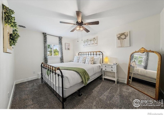 205 Locust St, Windsor, CO 80550 - photo 20
