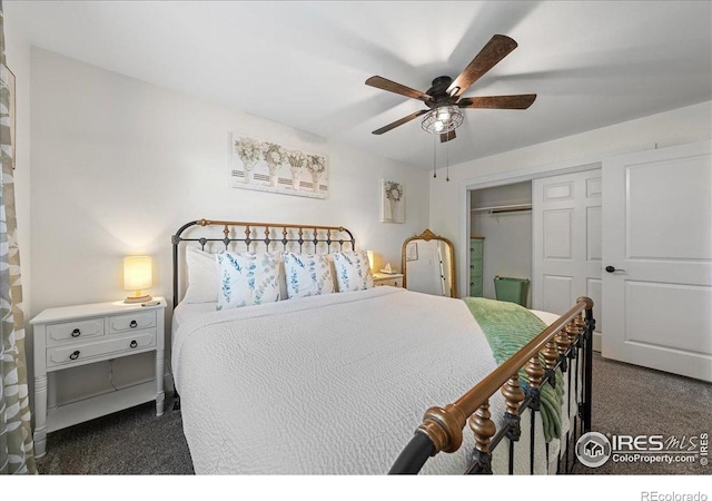 205 Locust St, Windsor, CO 80550 - photo 21