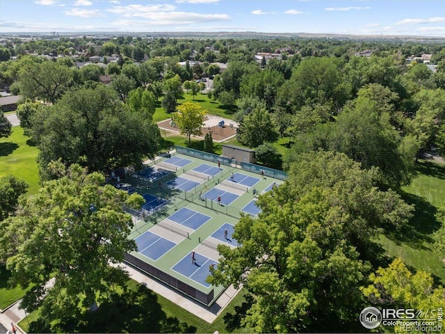205 Locust St, Windsor, CO 80550 - photo 34