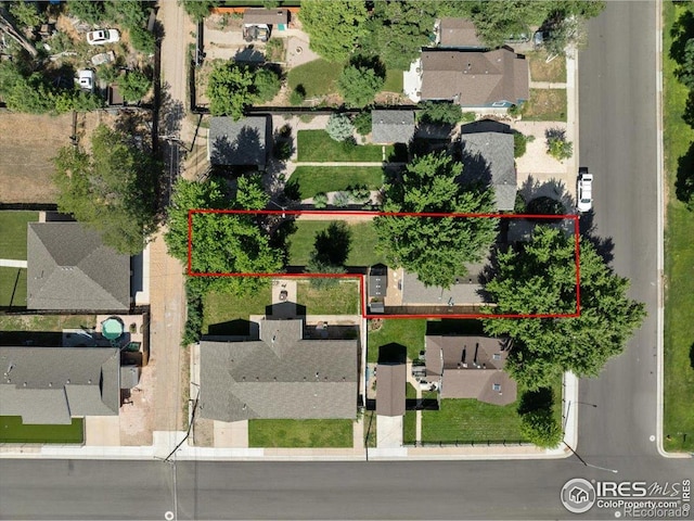 205 Locust St, Windsor, CO 80550 - photo 36
