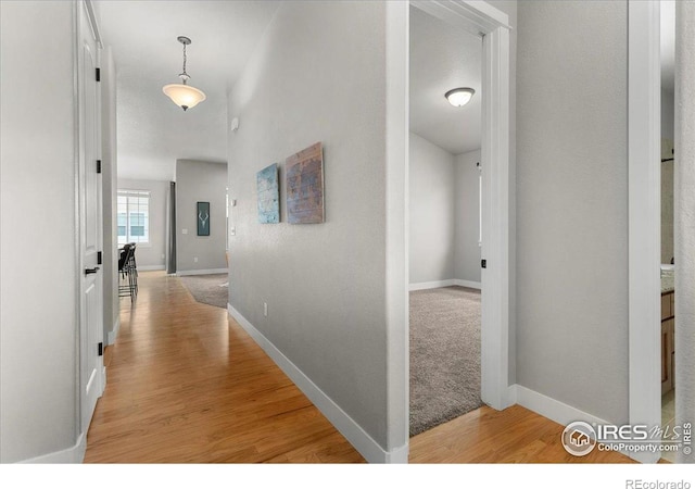 1062 Mt Columbia Dr, Severance, CO 80550 - corridor with light wood finished floors and baseboards