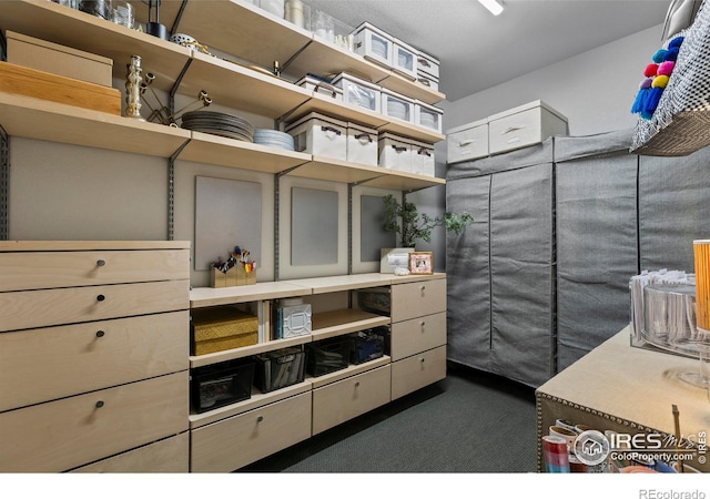 4306 Dixon St, Timnath, CO 80547 - spacious closet with dark carpet
