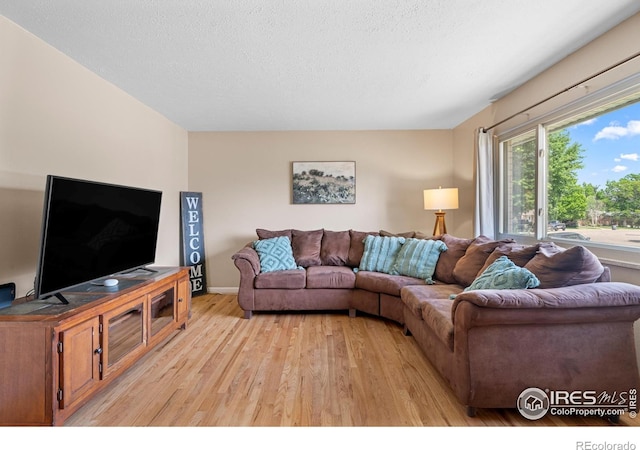 2043 26th Street Rd, Greeley, CO 80631 - photo 3