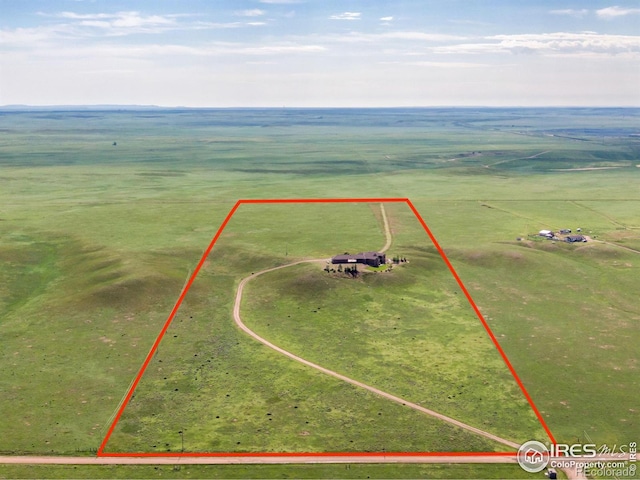 20358 Cattle Dr, Wellington, CO 80549 - photo 5