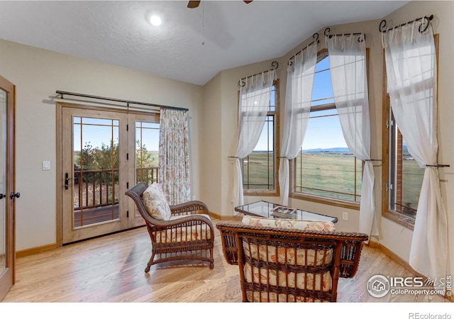 20358 Cattle Dr, Wellington, CO 80549 - photo 15