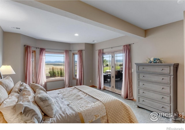 20358 Cattle Dr, Wellington, CO 80549 - photo 19