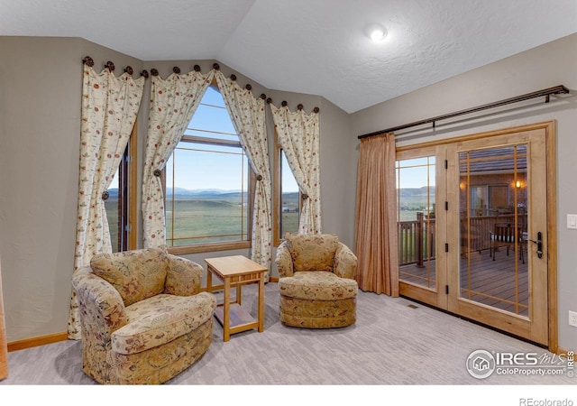20358 Cattle Dr, Wellington, CO 80549 - photo 20