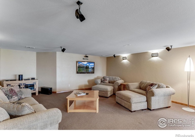 20358 Cattle Dr, Wellington, CO 80549 - photo 28