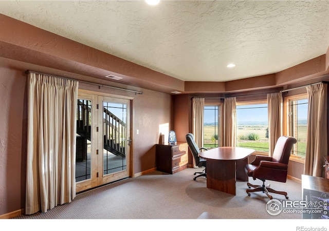 20358 Cattle Dr, Wellington, CO 80549 - photo 30