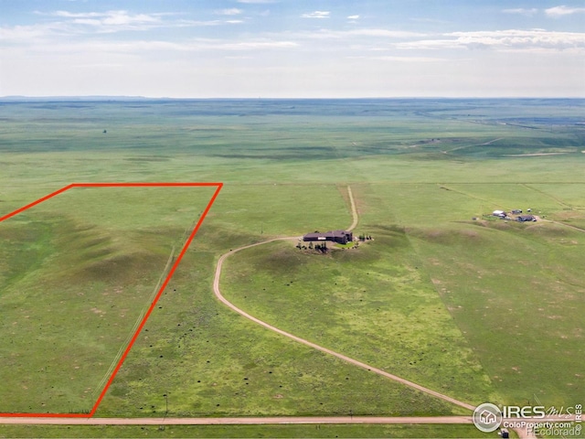 20560 Cattle Dr, Wellington, CO 80549 - photo 1