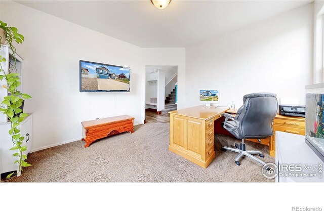 7437 Home Stretch Dr, Wellington, CO 80549 - photo 15
