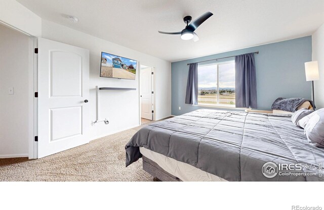 7437 Home Stretch Dr, Wellington, CO 80549 - photo 18