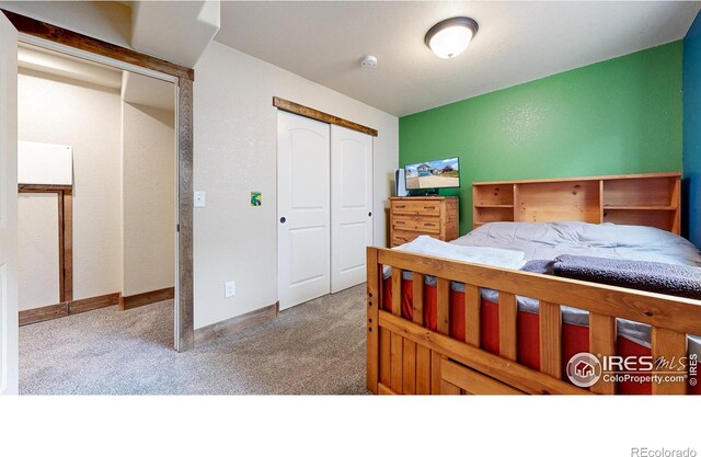 7437 Home Stretch Dr, Wellington, CO 80549 - photo 28