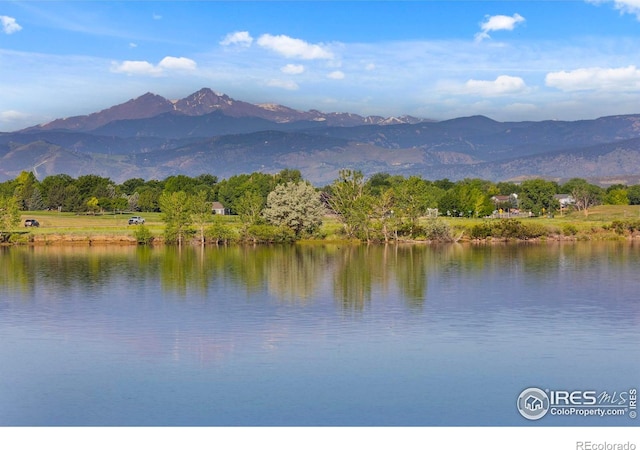 3941 Roaring Fork Dr, Loveland, CO 80538 - photo 3