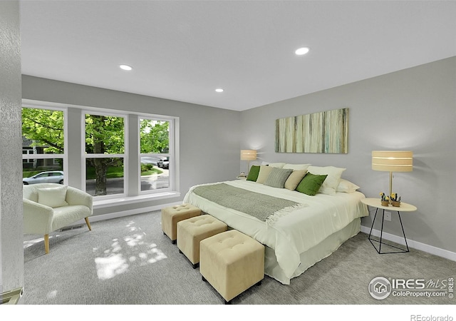 106 S Madison Ave, Louisville, CO 80027 - photo 10
