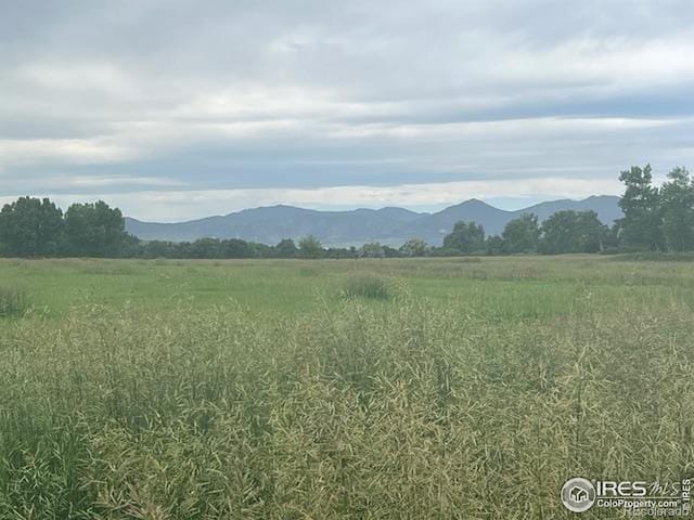 106 S Madison Ave, Louisville, CO 80027 - photo 29