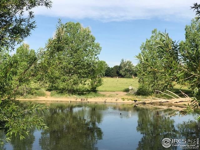 106 S Madison Ave, Louisville, CO 80027 - photo 30