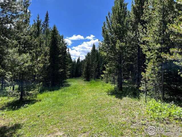 10000 Forest Service Rd Unit 169, Red Feather Lakes, CO 80545 - photo 18