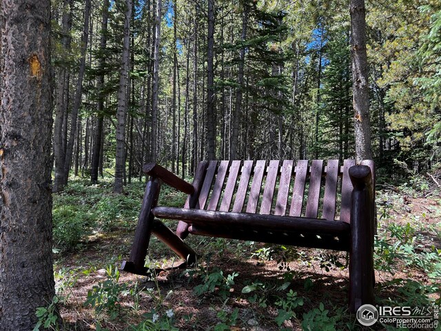 10000 Forest Service Rd Unit 169, Red Feather Lakes, CO 80545 - photo 23