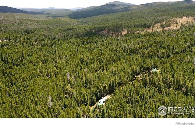10000 Forest Service Rd Unit 169, Red Feather Lakes, CO 80545 - photo 27
