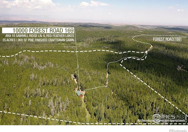 10000 Forest Service Rd Unit 169, Red Feather Lakes, CO 80545 - photo 29