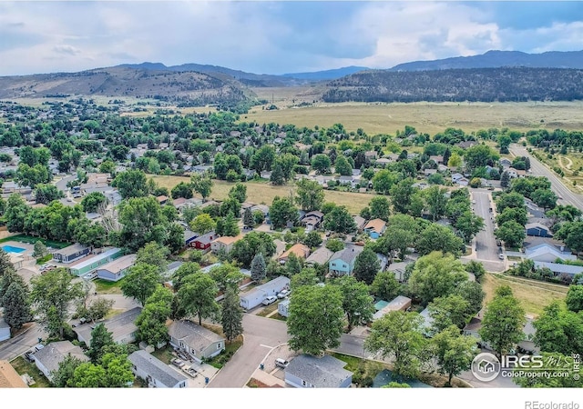 3633 Dalton Dr, Fort Collins, CO 80526 - photo 16