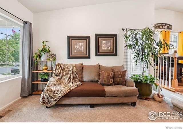 3806 Balsawood Ln, Johnstown, CO 80534 - photo 6