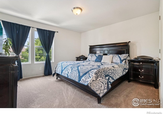 3806 Balsawood Ln, Johnstown, CO 80534 - photo 18