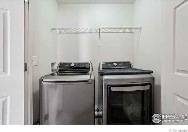 3806 Balsawood Ln, Johnstown, CO 80534 - photo 29