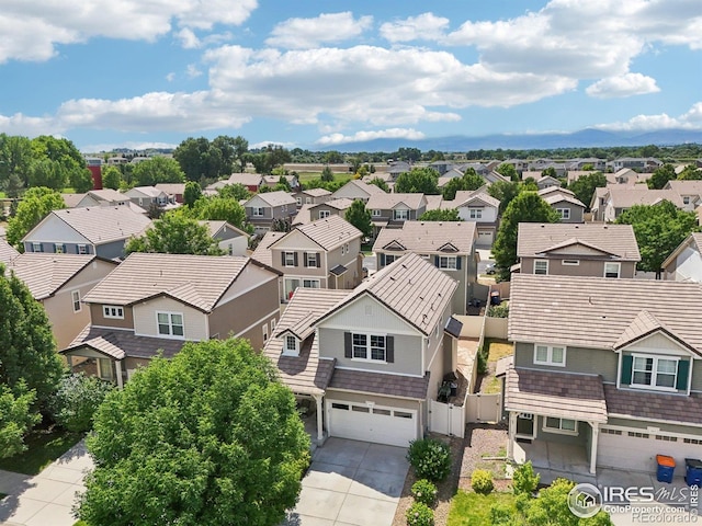 3806 Balsawood Ln, Johnstown, CO 80534 - photo 35