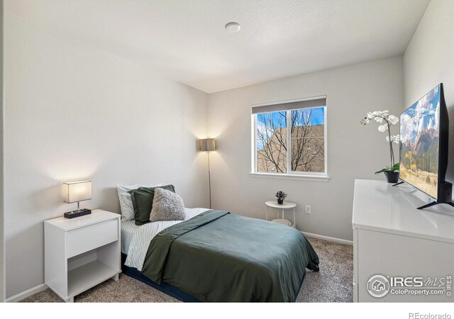 5077 W 108th Cir, Westminster, CO 80031 - photo 30