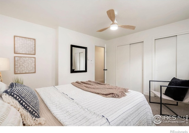 4329 Main St, Timnath, CO 80547 - photo 28
