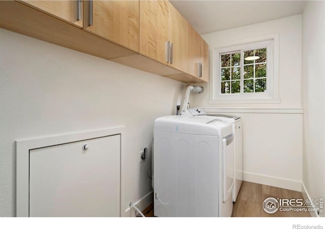 4329 Main St, Timnath, CO 80547 - photo 35