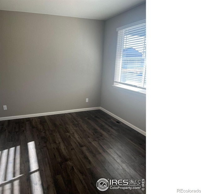 4529 Kingswood Dr, Windsor, CO 80550 - photo 5