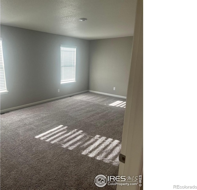 4529 Kingswood Dr, Windsor, CO 80550 - photo 10