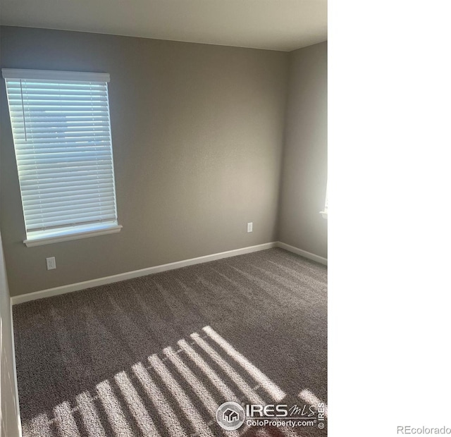 4529 Kingswood Dr, Windsor, CO 80550 - photo 12