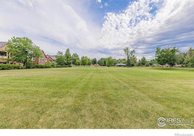 2623 Elmhurst Cir, Longmont, CO 80503 - photo 39