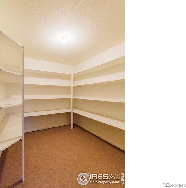 2623 Elmhurst Cir, Longmont, CO 80503 - photo 34