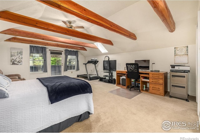 1110 Hover St, Longmont, CO 80501 - photo 13