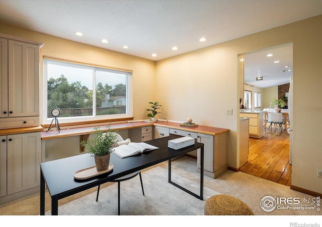 8485 S Piney Point St, Highlands Ranch, CO 80126 - photo 13
